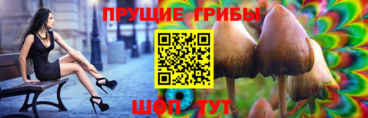 Псилоцибиновые грибы прущие грибы  Псилоцибиновые грибы GOLDEN TEACHER  Фурманов  Вход с VPN 